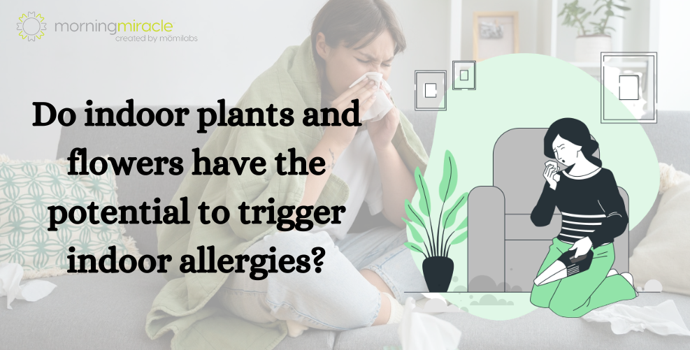 Do indoor plants and flowers have the potential to trigger indoor allergies?