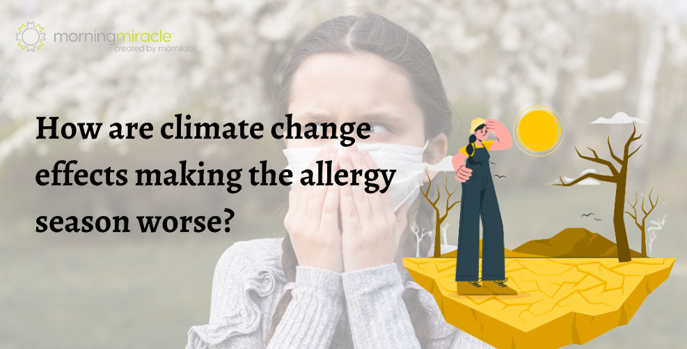 How are climate change effects making the allergy season worse?