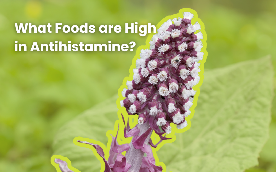 What Foods are High in Antihistamines?
