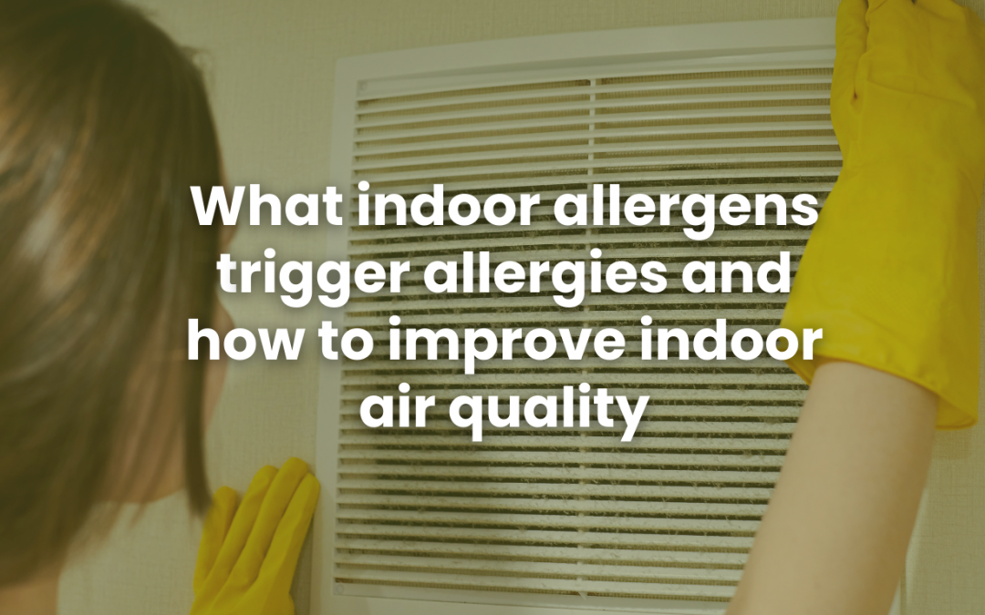 What Indoor Allergens Trigger Allergies and How to Improve Indoor Air Quality