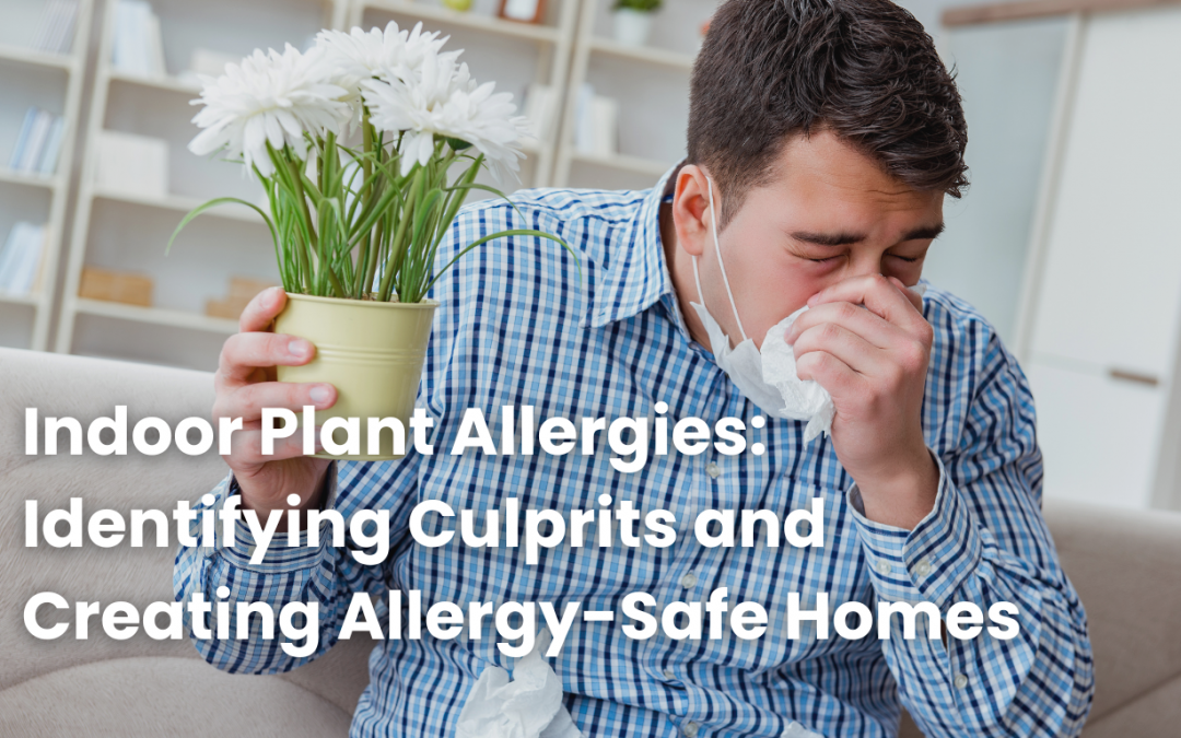 Indoor Plant Allergies: Identifying Culprits and Creating Allergy-Safe Homes