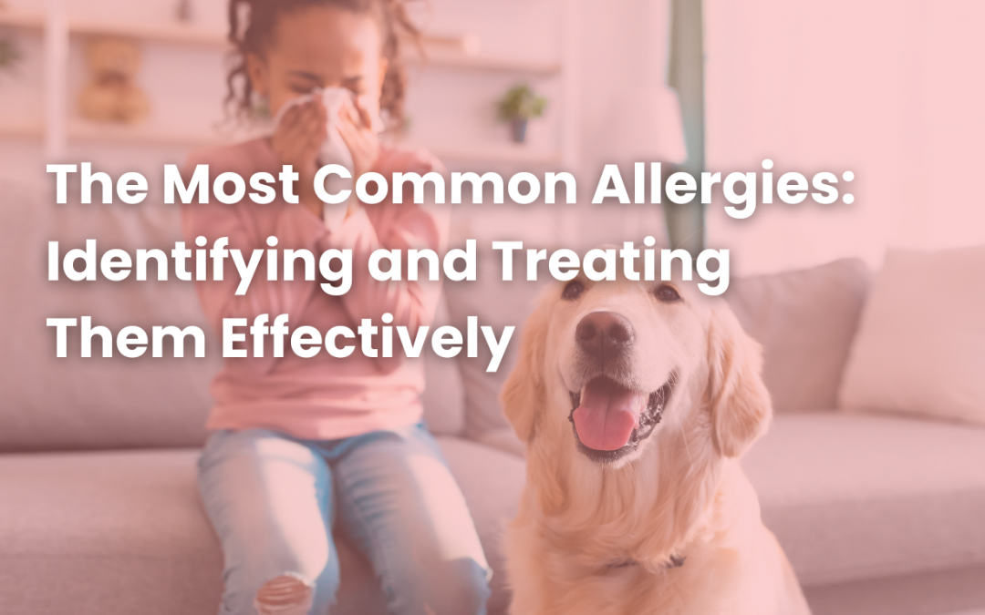 The Most Common Allergies: Identifying and Treating Them Effectively